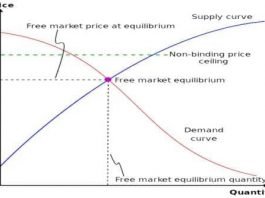 What is Price Ceiling in Economics and Its Implications: What is Price Ceiling in Economics and Its Implications: