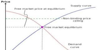 What is Price Ceiling in Economics and Its Implications: What is Price Ceiling in Economics and Its Implications:
