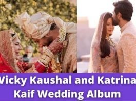 Vicky Kaushal and Katrina Kaif Wedding Album: Katrina Kaif and Vicky Kaushal share their most romantic pics