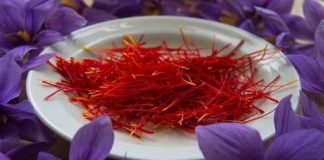 10 Surprising health benefits of saffron 10 Surprising health benefits of saffron