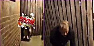 Joe Westerman Video with a Woman on YouTube and Twitter Joe Westerman Video with a Woman, Joe Westerman Knee Video, Antonio Brown Snapchat Story, French singer Aya Nakamura Lien Video