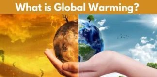 What is Global Warming? Causes – Impact – Solutions – International Efforts Global Warming poses a significant threat to our planet and our generations; collective action is needed to reduce emissions to energy