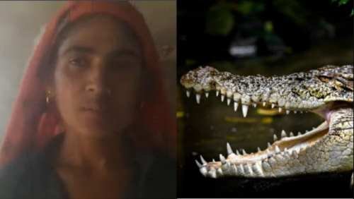 Crocodile Attack a Woman in India – Crocodile Attack India video Crocodile Attack India video, Crocodile Attack a Woman in India video. a 35-year-old woman who is taking a bath somewhere in Indiana River