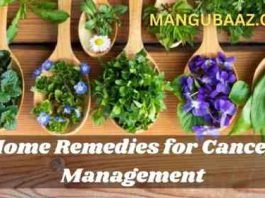 Home Remedies for Cancer Management – 7 Natural Approaches Home Remedy for Cancer Management - 7 Natural Approaches. Discover potent home remedies for cancer management in this comprehensive article