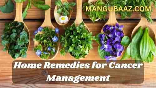 Home Remedies for Cancer Management – 7 Natural Approaches Home Remedy for Cancer Management - 7 Natural Approaches. Discover potent home remedies for cancer management in this comprehensive article