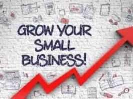 Small Business Growth Hacks: Proven Strategies for Taking Your Business to the Next Level Small Business Growth Hacks: Proven Strategies for Taking Your Business to the Next Level