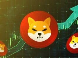 What is the future of SHIBA Inu What is the future of SHIBA Inu