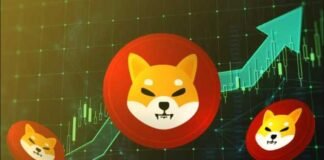 What is the future of SHIBA Inu What is the future of SHIBA Inu