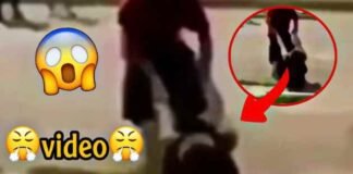 Make him Bite The Curb Video on Twitter original Bite The Curb Video