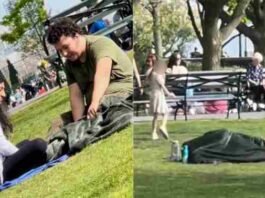 Couple caught ‘Making Love’ under a blanket at New York Park couple under blanket at new york park