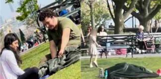 Couple caught ‘Making Love’ under a blanket at New York Park couple under blanket at new york park