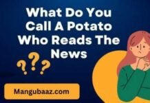 What do you call a Potato who reads the News What Do You Call a Potato Who Reads the News