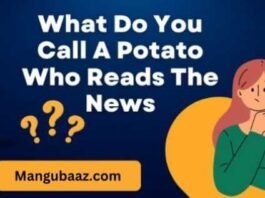 What do you call a Potato who reads the News What Do You Call a Potato Who Reads the News