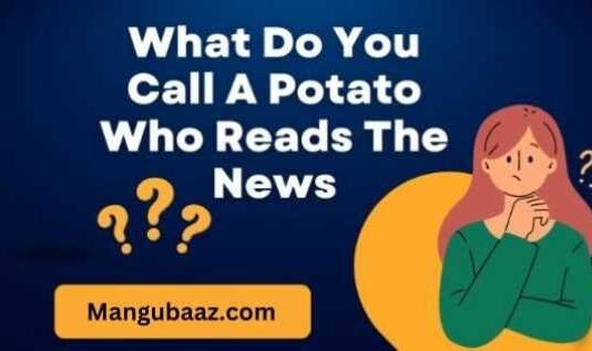 What do you call a Potato who reads the News What Do You Call a Potato Who Reads the News