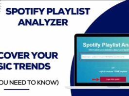 What is Spotify Playlist Analyzer – Playlist Stats and Data What is Spotify Playlist Analyzer - Playlist Stats and Data