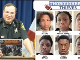 Philly Youth Football Players Arrested Recently in Florida: Full Case Update Philly Youth Football Players Arrested Recently in Florida