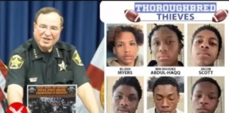 Philly Youth Football Players Arrested Recently in Florida: Full Case Update Philly Youth Football Players Arrested Recently in Florida